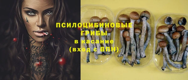 ГАЛЛЮЦИНОГЕННЫЕ ГРИБЫ Нея