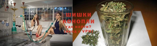 трава Нефтекумск