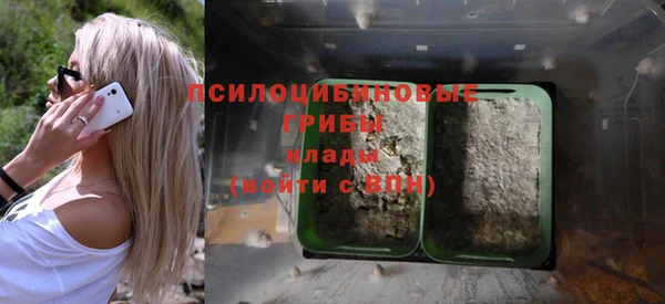 ГАЛЛЮЦИНОГЕННЫЕ ГРИБЫ Нея